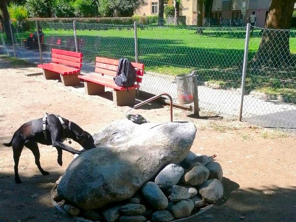 Hundehalter, Bauern und Tierfreunde fordern immer wieder eine "Hundewiese" in Oetz!